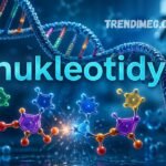 Nukleotidy